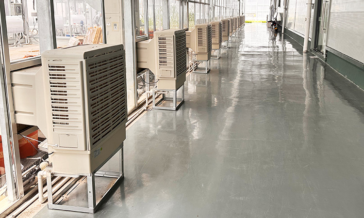 Zhejiang Botanical Science Center Ventilation and Cooling Project